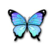 SAOIF　煌びやかな青鱗蝶